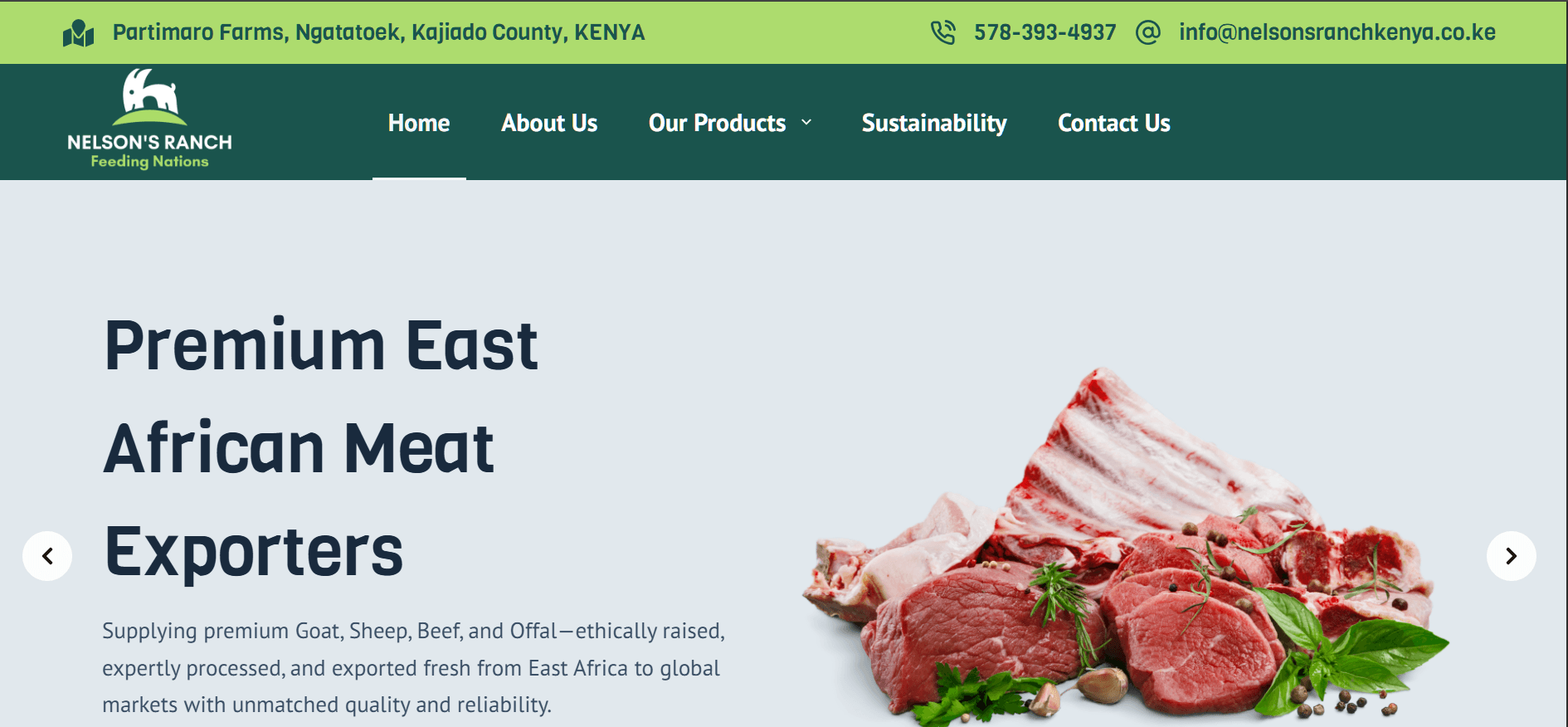 Nelsons Ranch website preview